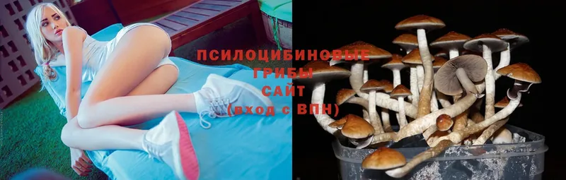 Галлюциногенные грибы ЛСД  Болгар 